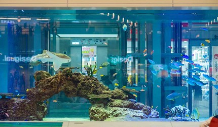 沖繩永旺夢樂城